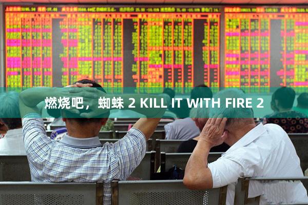 燃烧吧，蜘蛛 2 KILL IT WITH FIRE 2