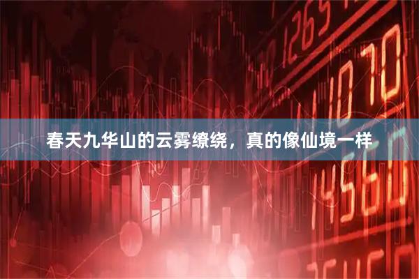春天九华山的云雾缭绕，真的像仙境一样