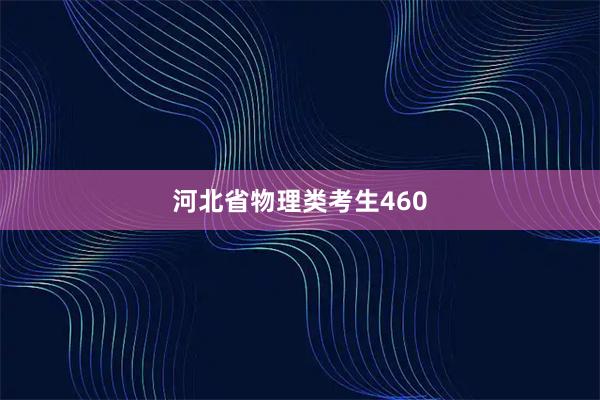 河北省物理类考生460