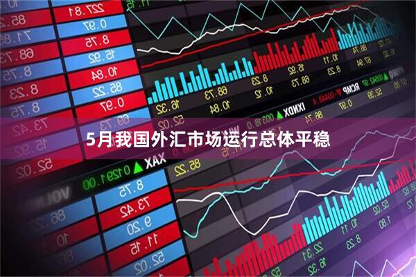 5月我国外汇市场运行总体平稳